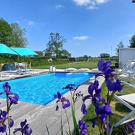 Villa Blue Garden B&B Vlaamse Ardennen Nabij Pairi Daiza Geraardsbergen Exteriör bild