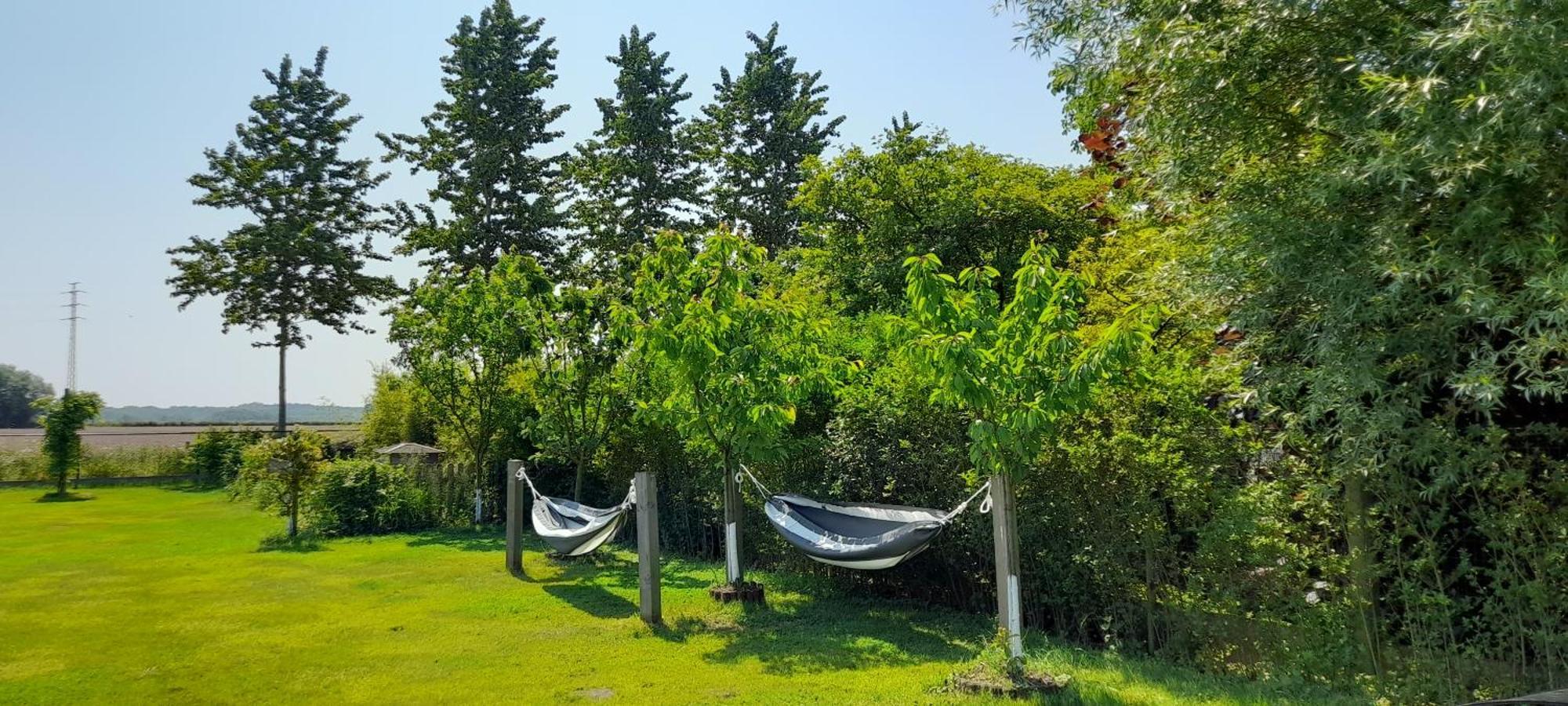 Villa Blue Garden B&B Vlaamse Ardennen Nabij Pairi Daiza Geraardsbergen Exteriör bild
